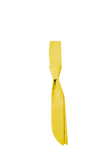 CG Workwear Short Tie Siena