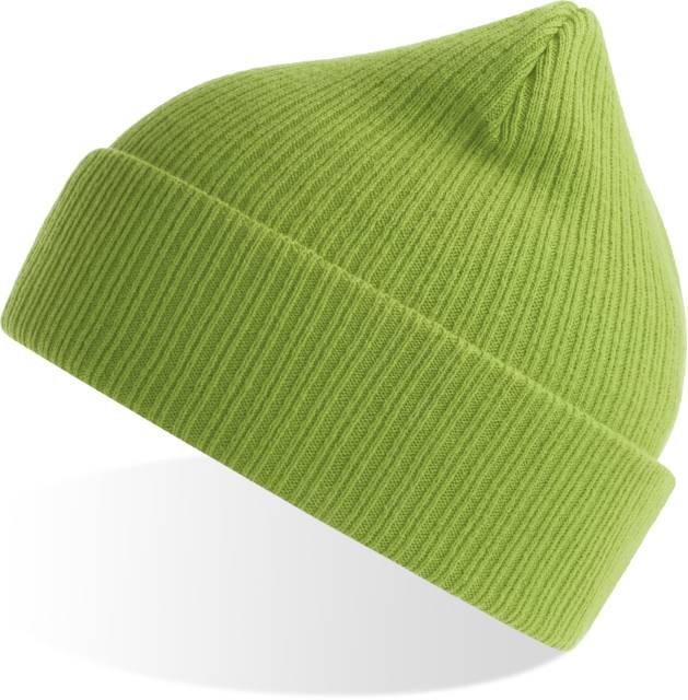 Atlantis Nelson Beanie – Leaf Green