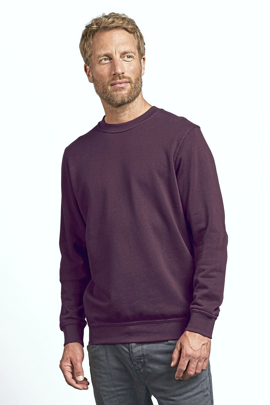 Promodoro Men's New Sweater 80/20