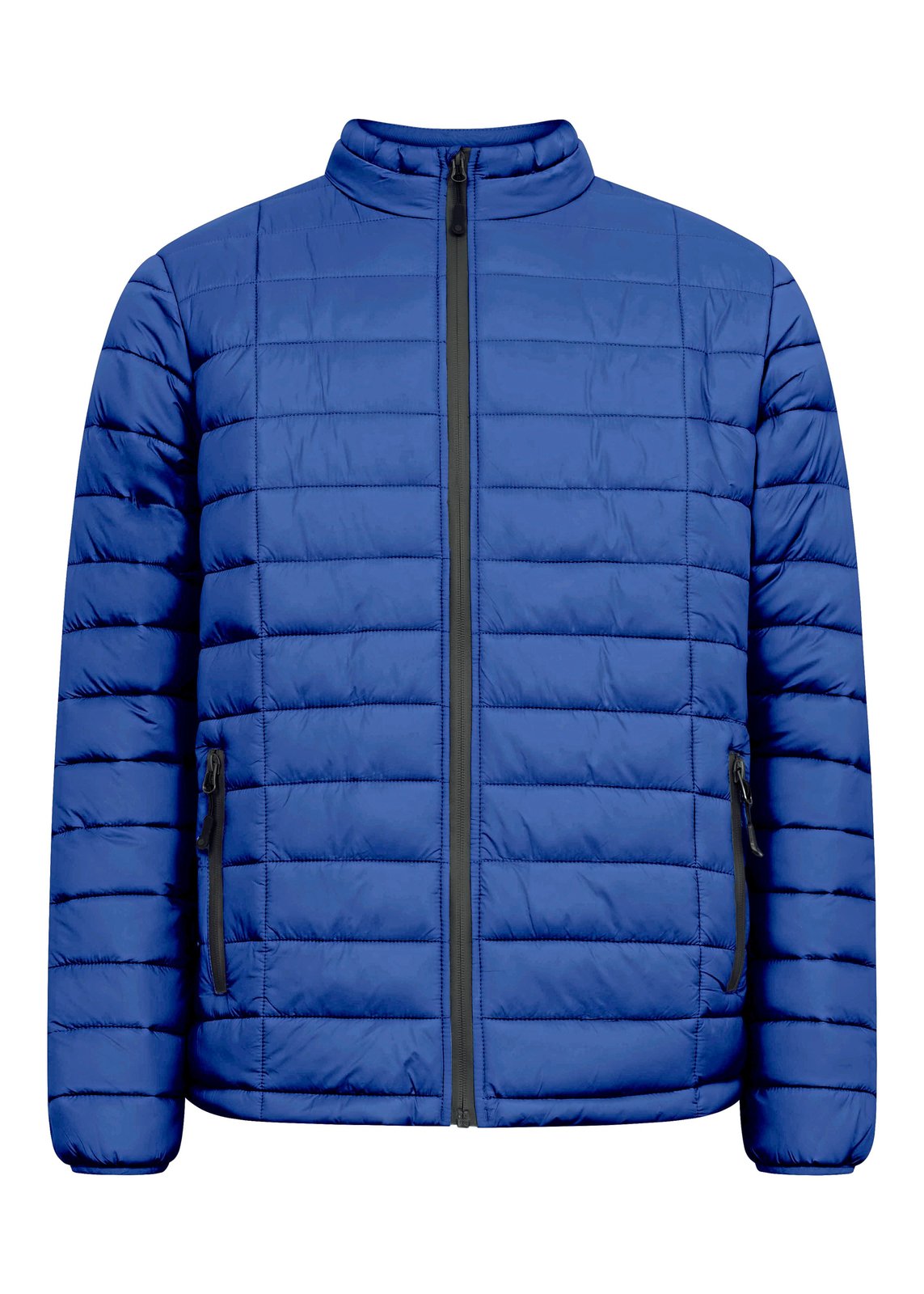 Promodoro Men's Padded Jacket