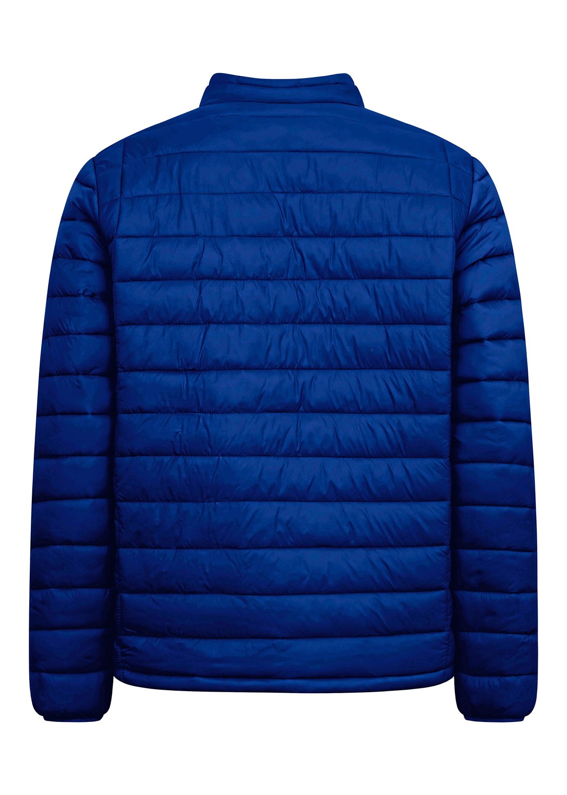 Promodoro Men's Padded Jacket