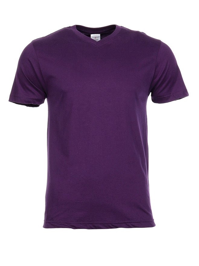 Stedman® Classic-T V-Neck